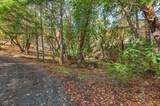3141 Humbug Creek Road - Photo 4
