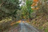 3141 Humbug Creek Road - Photo 6