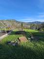 105 Scott Drive - Photo 47