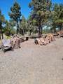 90854 Highway 140 - Photo 20