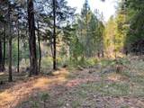 6392 Pleasant Creek Road - Photo 13