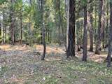6392 Pleasant Creek Road - Photo 14