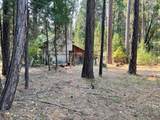 6392 Pleasant Creek Road - Photo 15