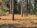 6392 Pleasant Creek Road - Photo 16