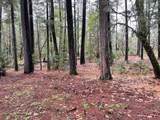 6392 Pleasant Creek Road - Photo 18