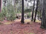 6392 Pleasant Creek Road - Photo 4