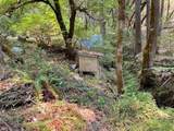 6392 Pleasant Creek Road - Photo 7