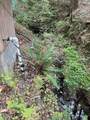 6392 Pleasant Creek Road - Photo 8