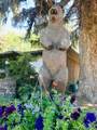 435 Front Street - Photo 20