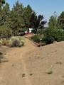6100 Highway 97 - Photo 42