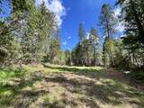7344 Applegate Road - Photo 4