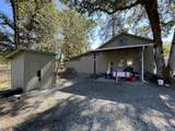 33821 Tiller Trail Highway - Photo 12