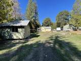 33821 Tiller Trail Highway - Photo 19