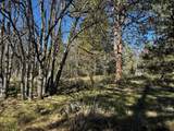 0 Merganser Road - Photo 3