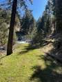 52960 Cummings Creek Road - Photo 31