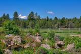 64435 Rock Springs Road - Photo 35