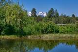 64435 Rock Springs Road - Photo 44