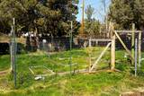 15019 Loafer Avenue - Photo 36