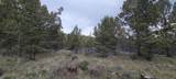  Osprey Road - Photo 16