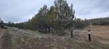  Osprey Road - Photo 20