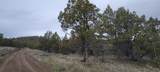  Osprey Road - Photo 24