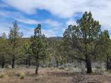  Osprey Road - Photo 7
