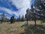  Osprey Road - Photo 9