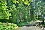 7419 Holland Corner Road - Photo 41