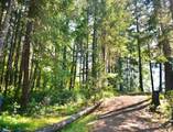7419 Holland Corner Road - Photo 43