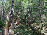 39061101 Bear Wallow Road - Photo 12