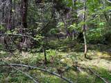39061101 Bear Wallow Road - Photo 17