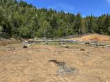 39061101 Bear Wallow Road - Photo 24