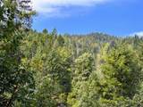 39061101 Bear Wallow Road - Photo 25
