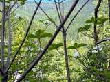 39061101 Bear Wallow Road - Photo 26