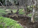 39061101 Bear Wallow Road - Photo 30