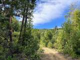 39061101 Bear Wallow Road - Photo 6