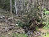 39061101 Bear Wallow Road - Photo 8