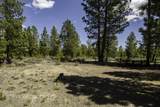 146613 Wild Cougar Lane - Photo 27
