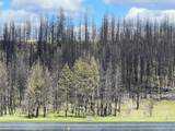 35229 Lloyd Low Trail - Photo 63
