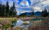 48445 Roaring Rapids Way - Photo 12