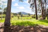 26223 Pine Lodge Road - Photo 4