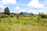 26223 Pine Lodge Road - Photo 42