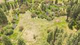 26223 Pine Lodge Road - Photo 45