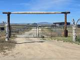 56880 Snowflake Road - Photo 14