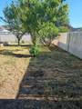 3856 Mountain Vista Drive - Photo 35