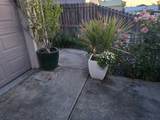3856 Mountain Vista Drive - Photo 7