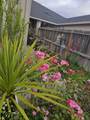 3856 Mountain Vista Drive - Photo 9