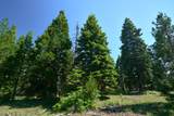 1160 Hyatt Prairie Road - Photo 10