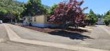 21 Brophy Way - Photo 30