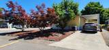 21 Brophy Way - Photo 34